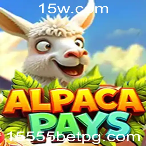 15555bet Cassino ao vivo